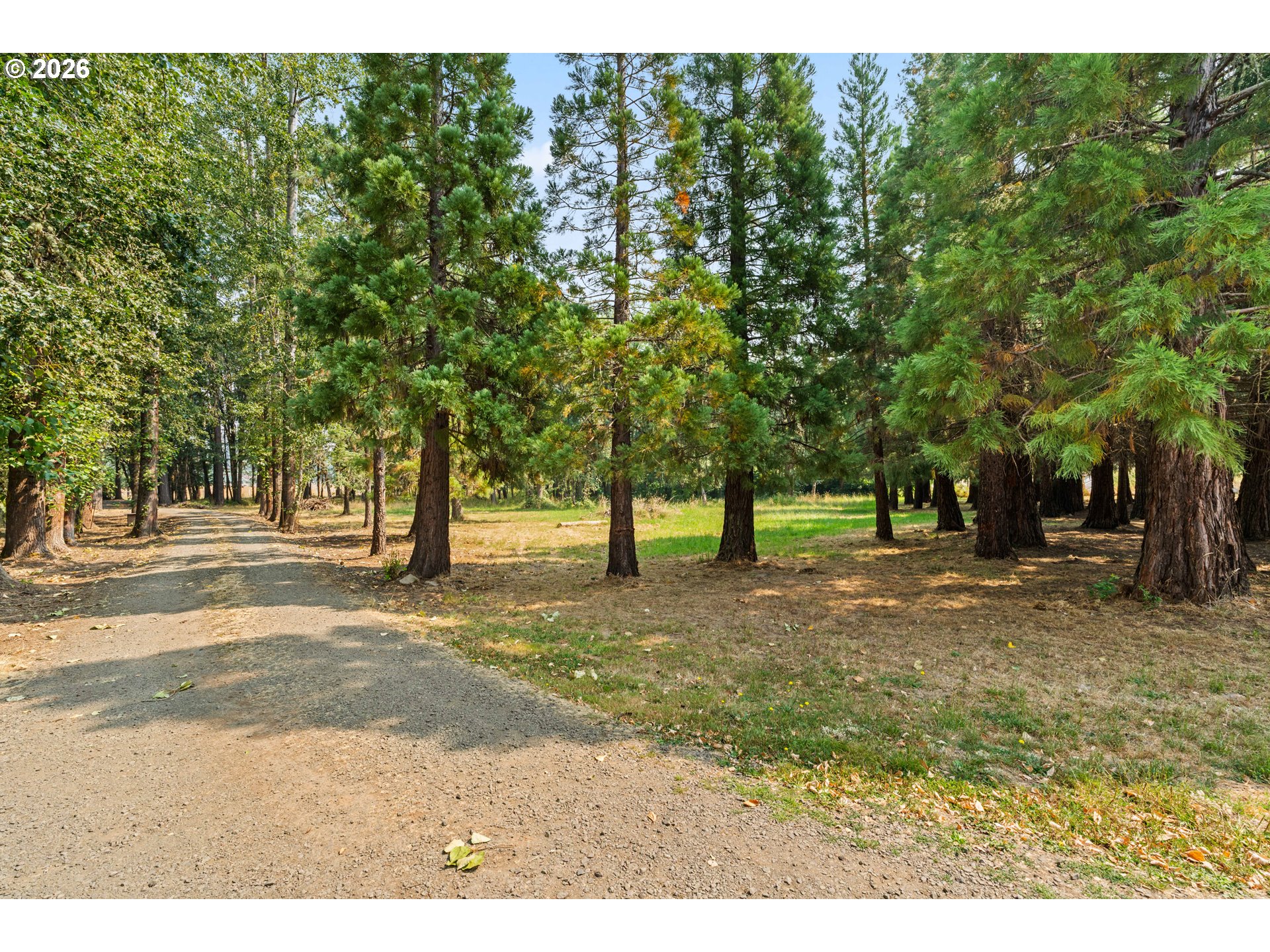 26266 Cory Road Junction City, OR 97448 - Photo 23 of 29 Gallery Image 23