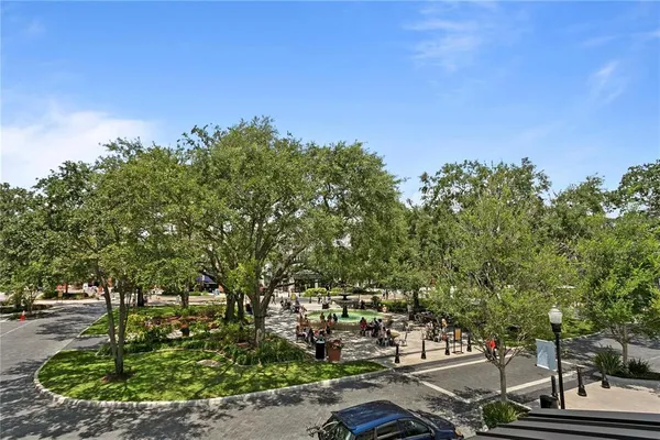 a view of a garden with a tree