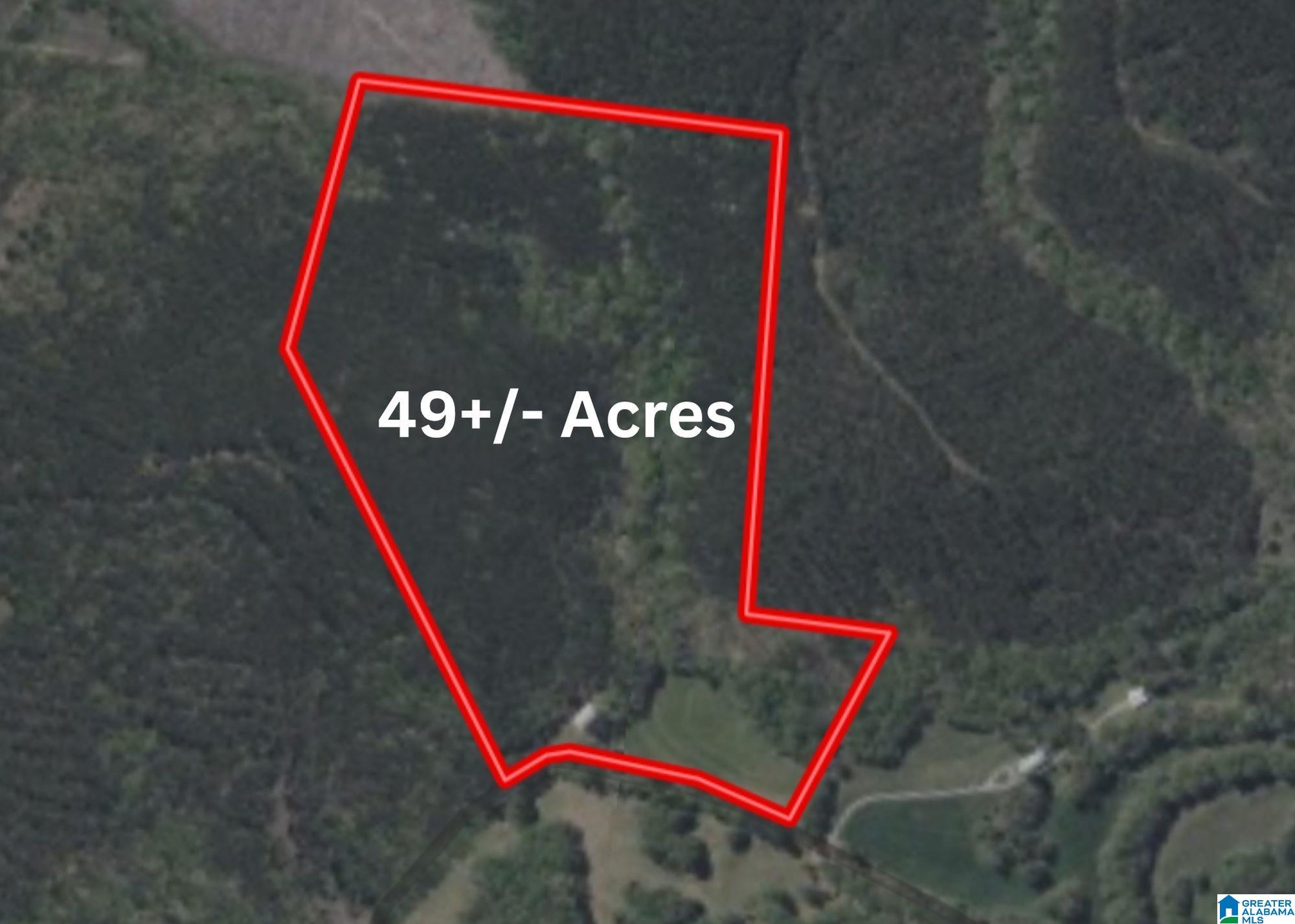 1540 Pepper Road, Unit 49 / ACRES Ashland, AL 36251 - Photo 31 of 31