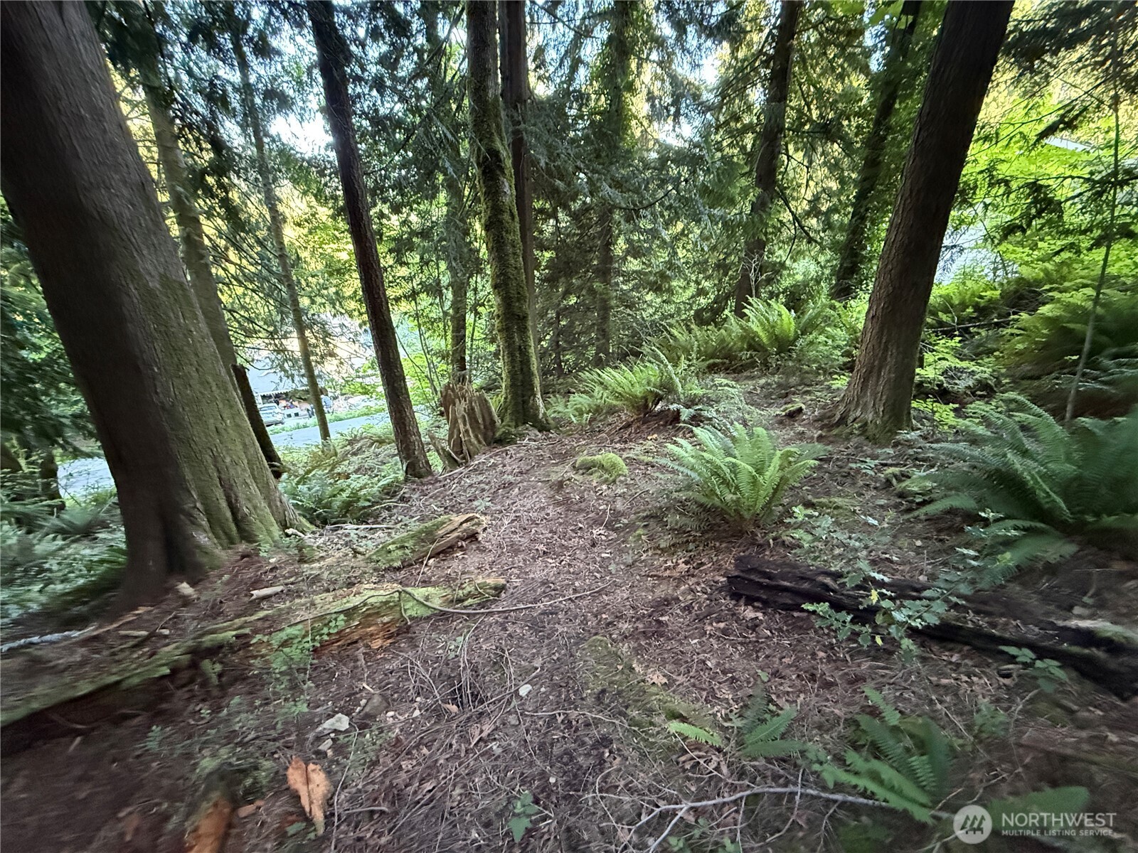 0 West Road Sedro-Woolley, WA 98284 - Photo 2 of 7