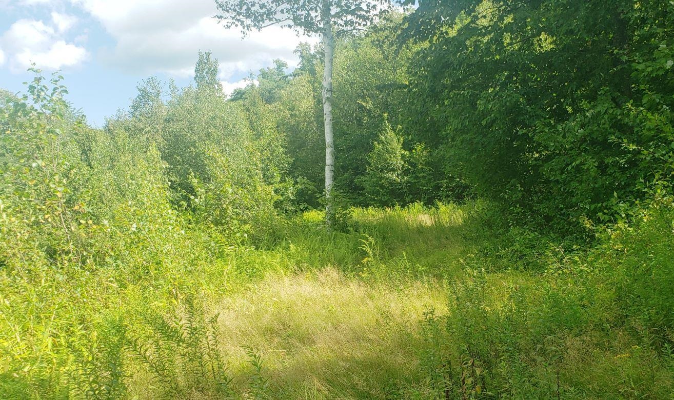 591 Ashby Road New Ipswich, NH 03071 - Photo 15 of 19