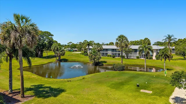 a view of a swimming pool with a yard