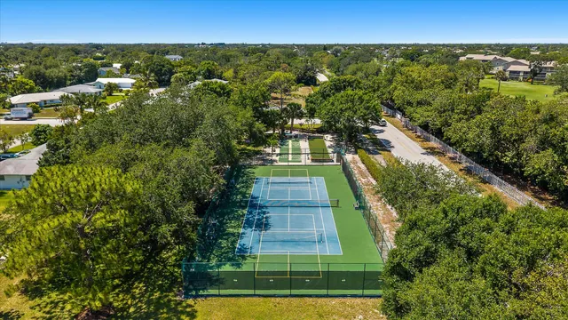 an aerial view of residential houses with outdoor space and trees