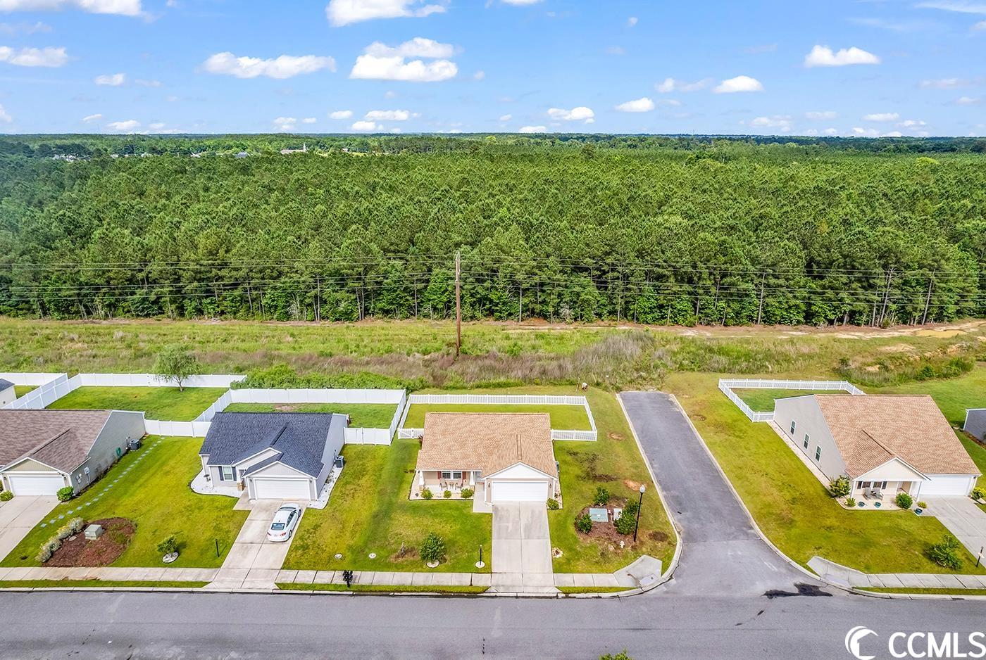 1329 Leatherman Road Conway, SC 29527 - Photo 38 of 40 Gallery Image 38