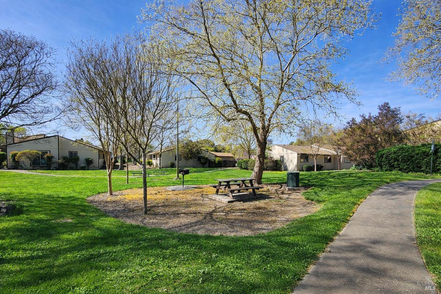 717 Blair Place Santa Rosa, CA 95401 - Photo 20 of 23 a park with tree s