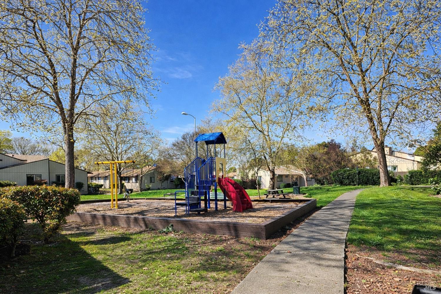 717 Blair Place Santa Rosa, CA 95401 - Photo 21 of 23 a park view with large trees