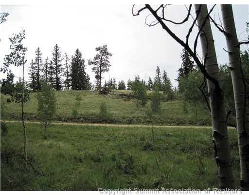 720 Nez Perce Road Como, CO 80456 - Photo 3 of 5 Gallery Image 3