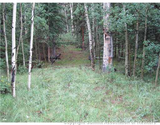 720 Nez Perce Road Como, CO 80456 - Photo 4 of 5 Gallery Image 4