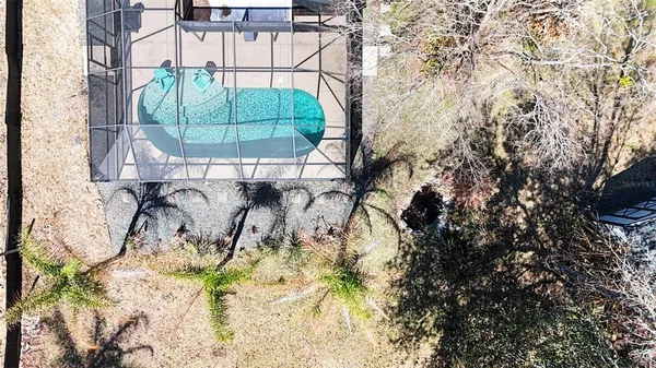 a view of a fire pit with large trees