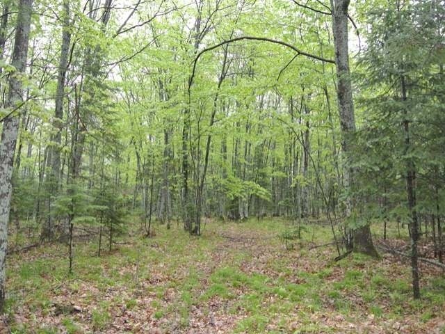 Lot 25 Garrett's Trail Rhinelander, WI 54501 - Photo 3 of 9 Gallery Image 3