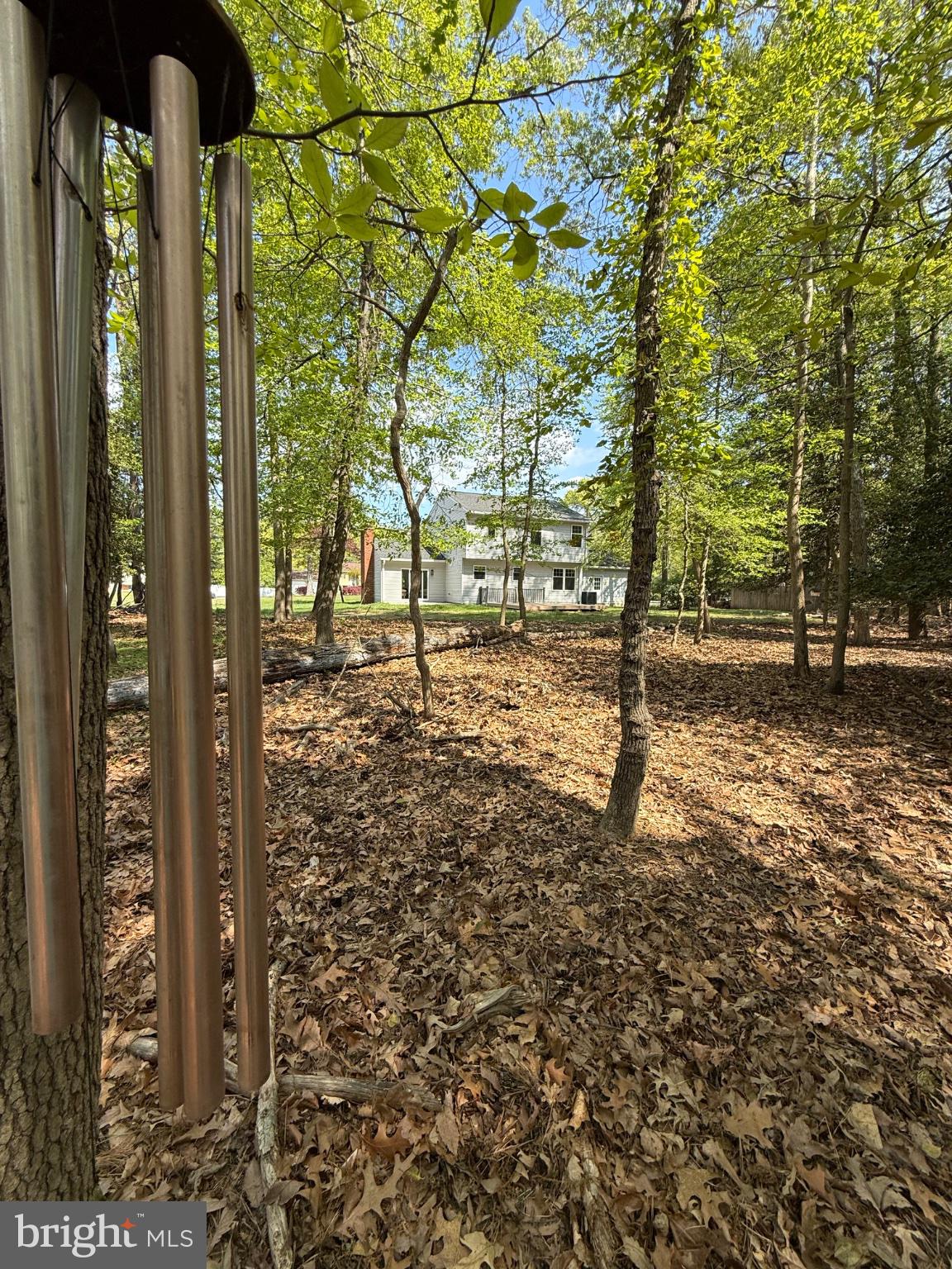192 Hickory Point Road Pasadena, MD 21122 - Photo 44 of 53 Serene woodland retreat awaits you.