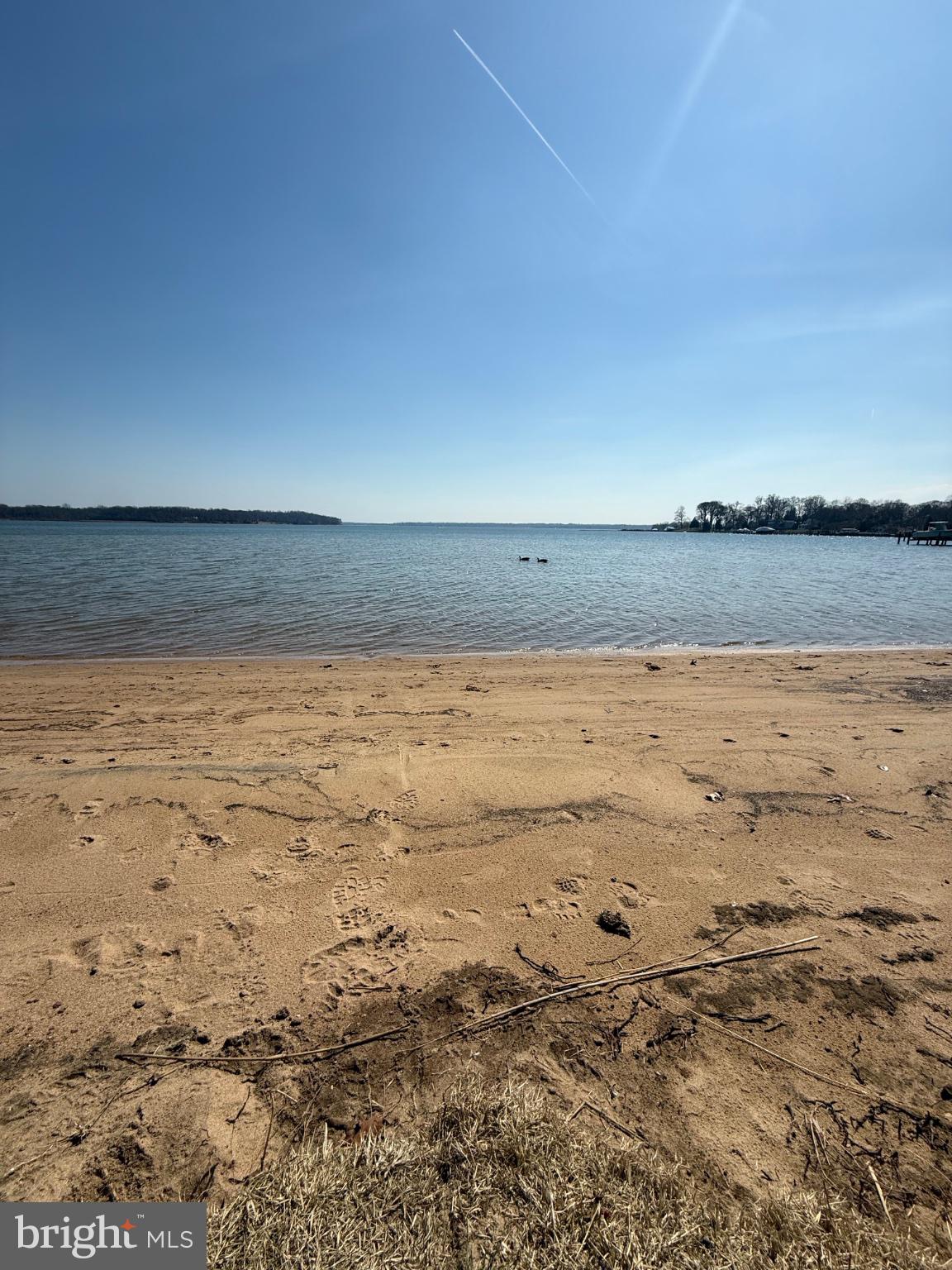 192 Hickory Point Road Pasadena, MD 21122 - Photo 50 of 53 Tranquil shores under a clear sky.