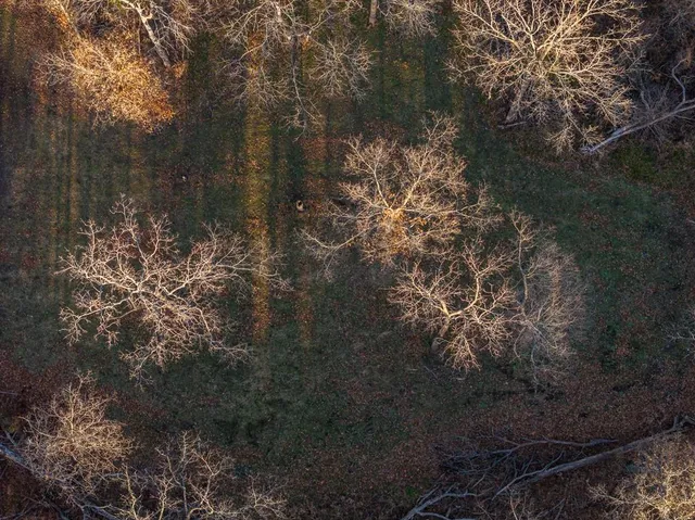 $641,875 | Waisner Avenue, Edwards, MO 65326