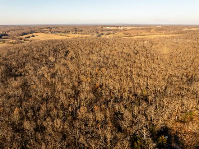 $641,875 | Waisner Avenue, Edwards, MO 65326