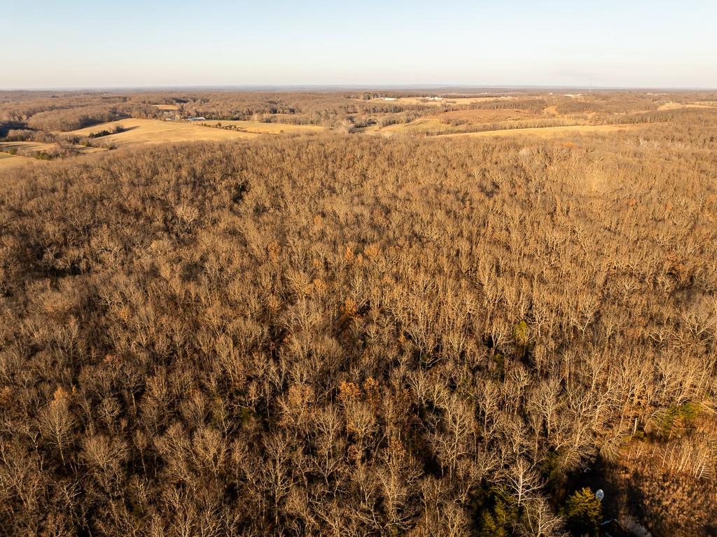 Waisner Avenue Edwards, MO 65326 - Photo 13 of 66