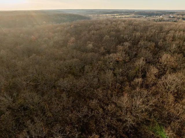 $641,875 | Waisner Avenue, Edwards, MO 65326