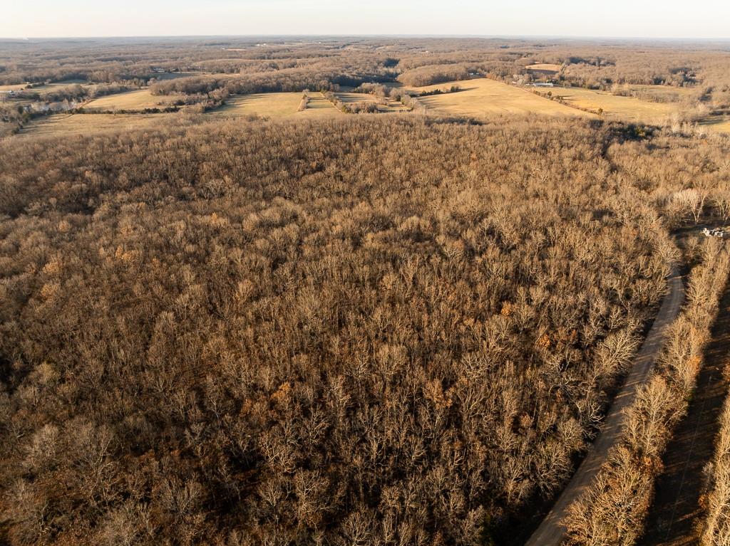 Waisner Avenue Edwards, MO 65326 - Photo 15 of 66