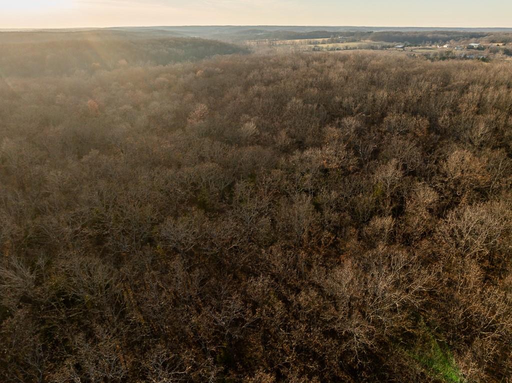 Waisner Avenue Edwards, MO 65326 - Photo 16 of 66