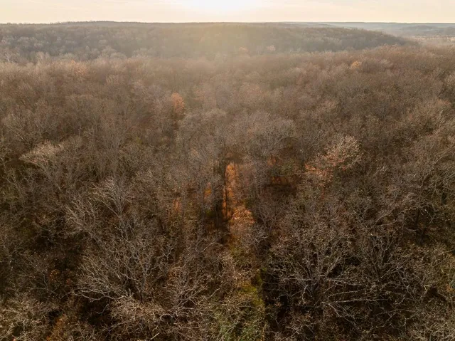 $641,875 | Waisner Avenue, Edwards, MO 65326