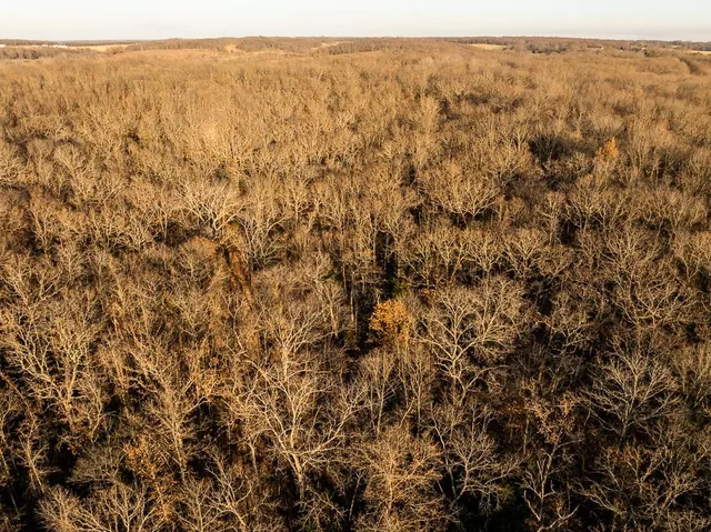 $641,875 | Waisner Avenue, Edwards, MO 65326