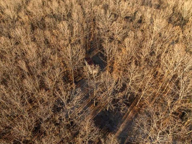 $641,875 | Waisner Avenue, Edwards, MO 65326