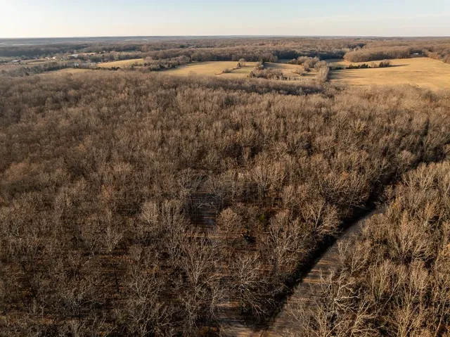 $641,875 | Waisner Avenue, Edwards, MO 65326