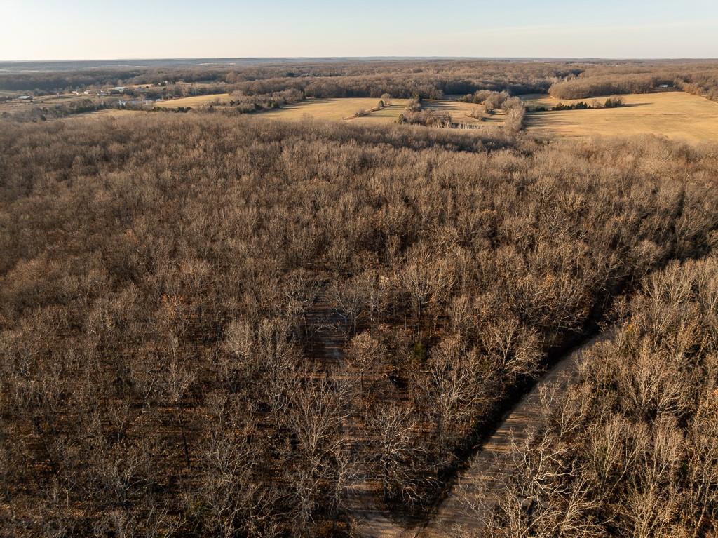 Waisner Avenue Edwards, MO 65326 - Photo 23 of 66