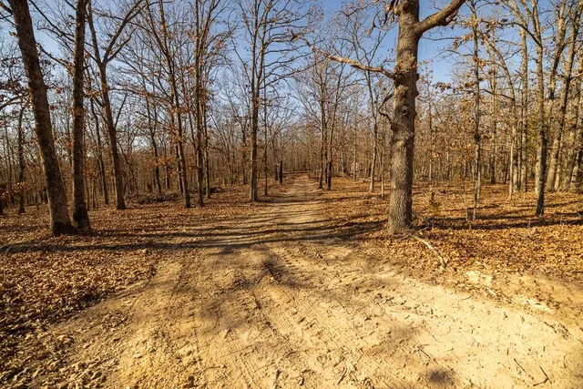 $641,875 | Waisner Avenue, Edwards, MO 65326