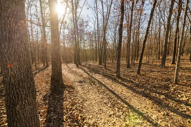 $641,875 | Waisner Avenue, Edwards, MO 65326