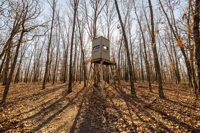 $641,875 | Waisner Avenue, Edwards, MO 65326