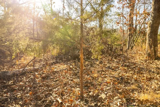 $641,875 | Waisner Avenue, Edwards, MO 65326