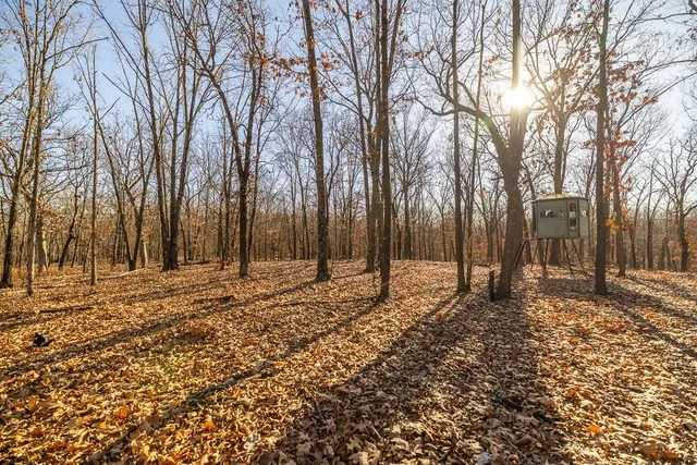 $641,875 | Waisner Avenue, Edwards, MO 65326