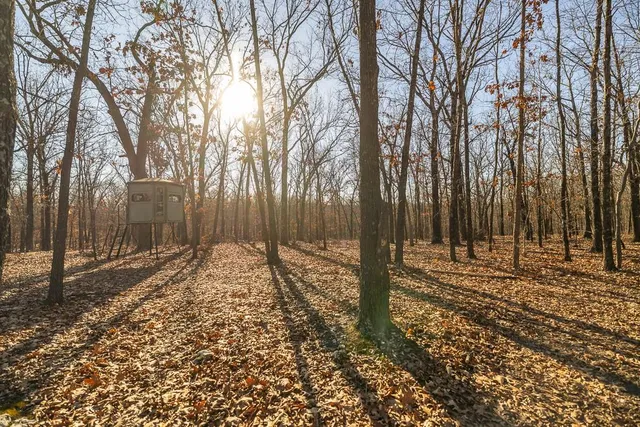 $641,875 | Waisner Avenue, Edwards, MO 65326