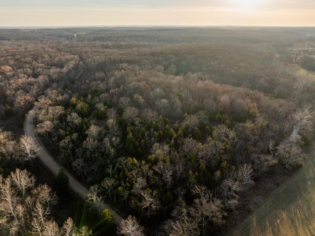 Waisner Avenue Edwards, MO 65326 - Photo 3 of 66