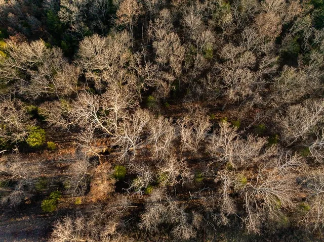 $641,875 | Waisner Avenue, Edwards, MO 65326