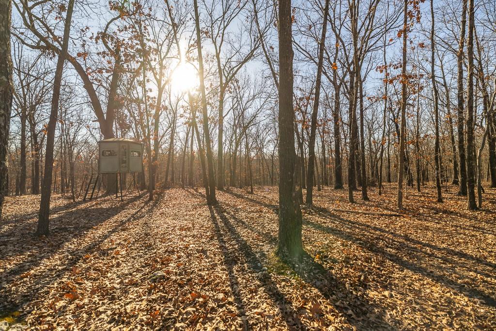 Waisner Avenue Edwards, MO 65326 - Photo 31 of 66