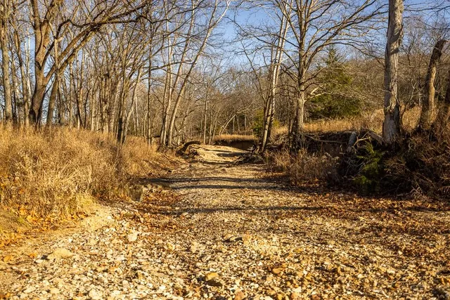 $641,875 | Waisner Avenue, Edwards, MO 65326