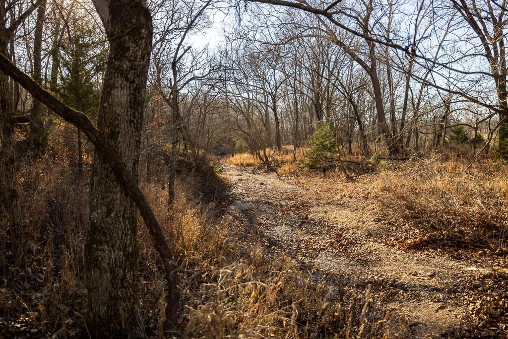 Waisner Avenue Edwards, MO 65326 - Photo 34 of 66