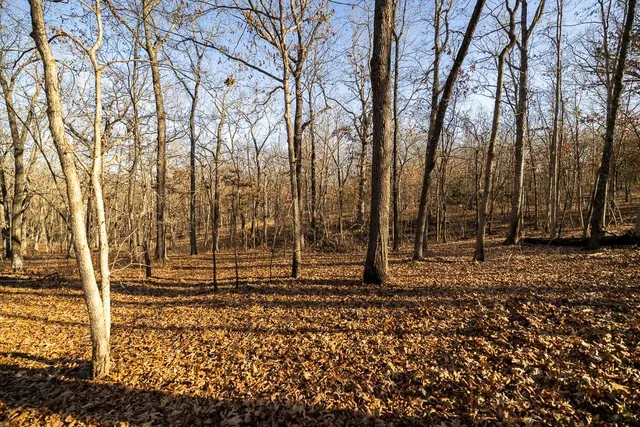 $641,875 | Waisner Avenue, Edwards, MO 65326