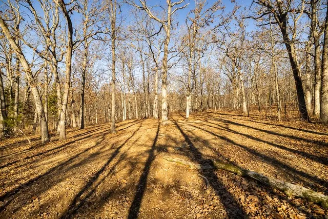 $641,875 | Waisner Avenue, Edwards, MO 65326