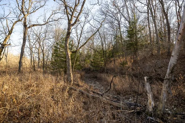 $641,875 | Waisner Avenue, Edwards, MO 65326