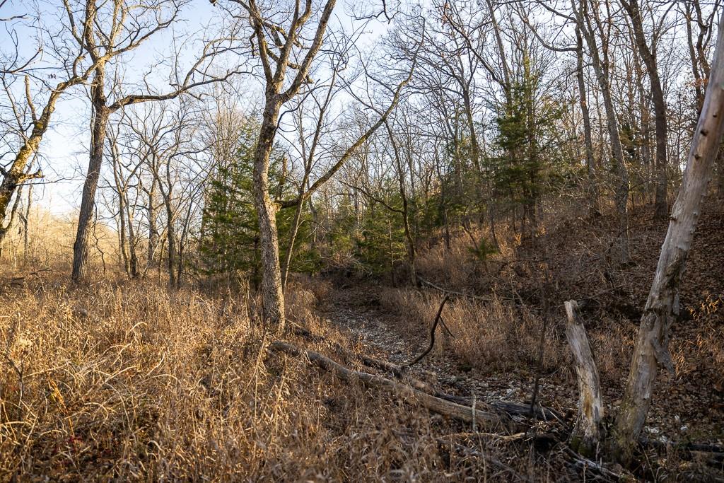 Waisner Avenue Edwards, MO 65326 - Photo 39 of 66