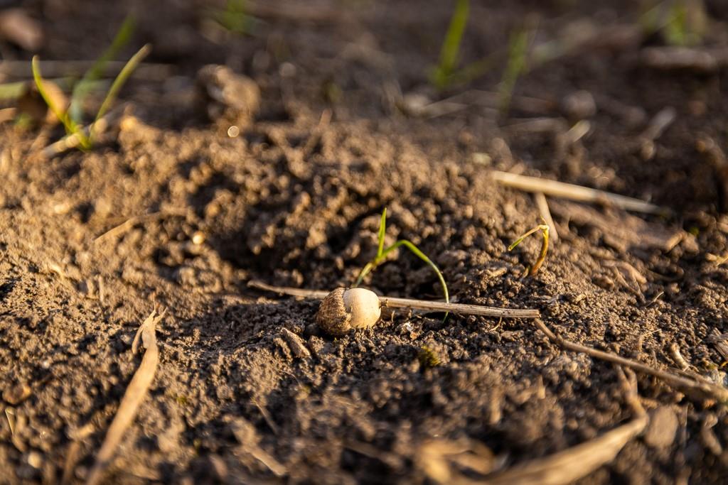 Waisner Avenue Edwards, MO 65326 - Photo 40 of 66