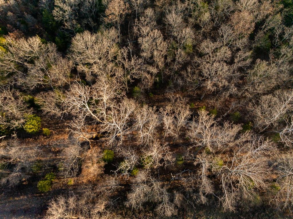 Waisner Avenue Edwards, MO 65326 - Photo 4 of 66