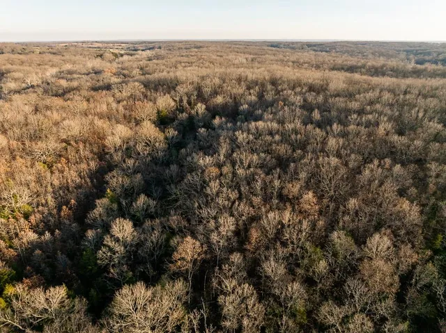 $641,875 | Waisner Avenue, Edwards, MO 65326