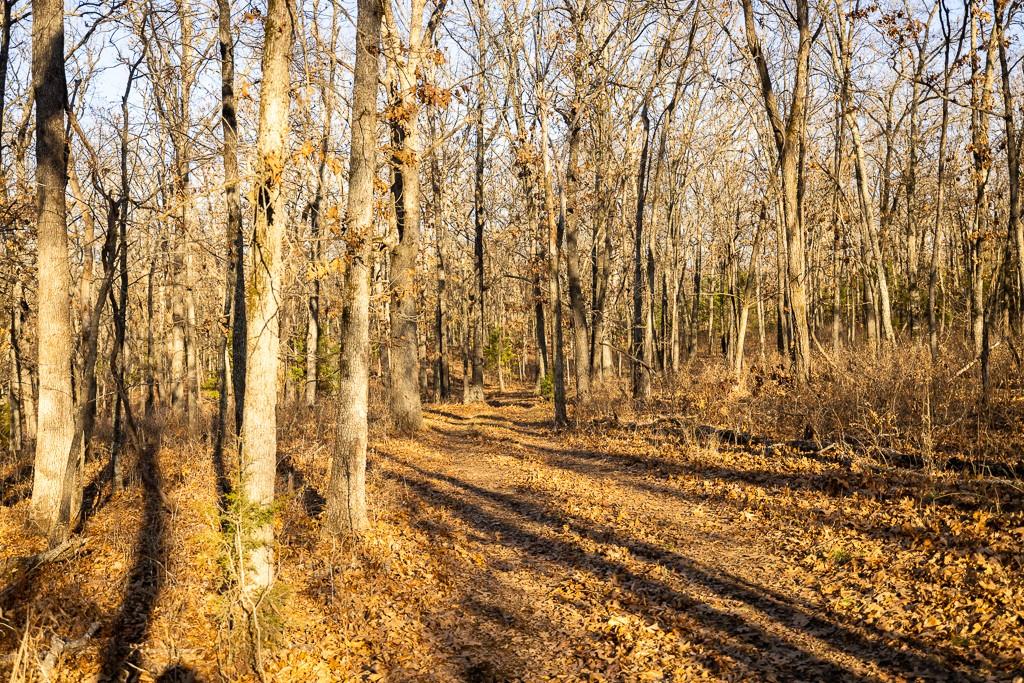 Waisner Avenue Edwards, MO 65326 - Photo 41 of 66