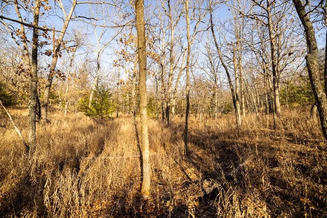 $641,875 | Waisner Avenue, Edwards, MO 65326