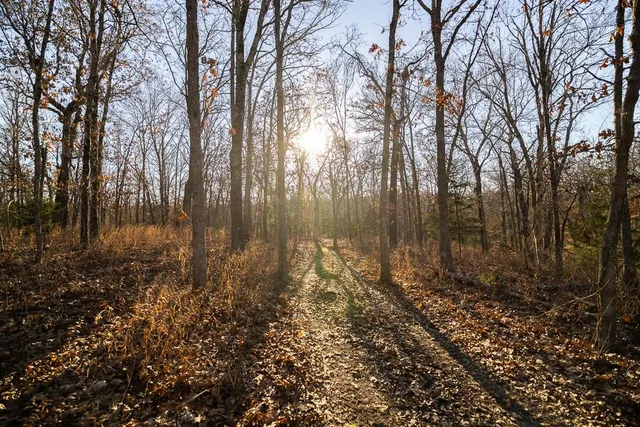 $641,875 | Waisner Avenue, Edwards, MO 65326