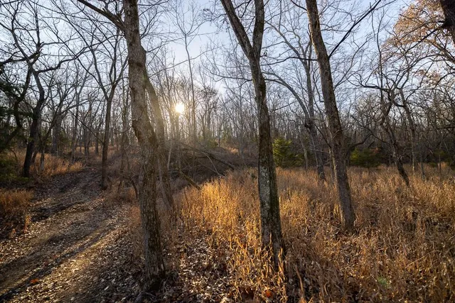 $641,875 | Waisner Avenue, Edwards, MO 65326