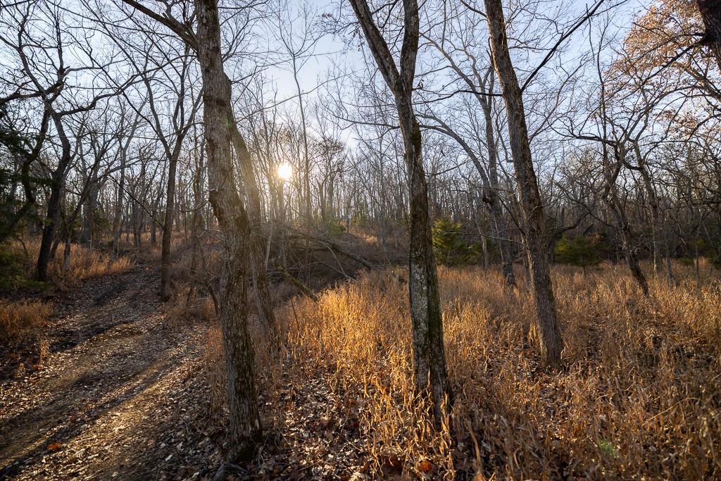 Waisner Avenue Edwards, MO 65326 - Photo 44 of 66